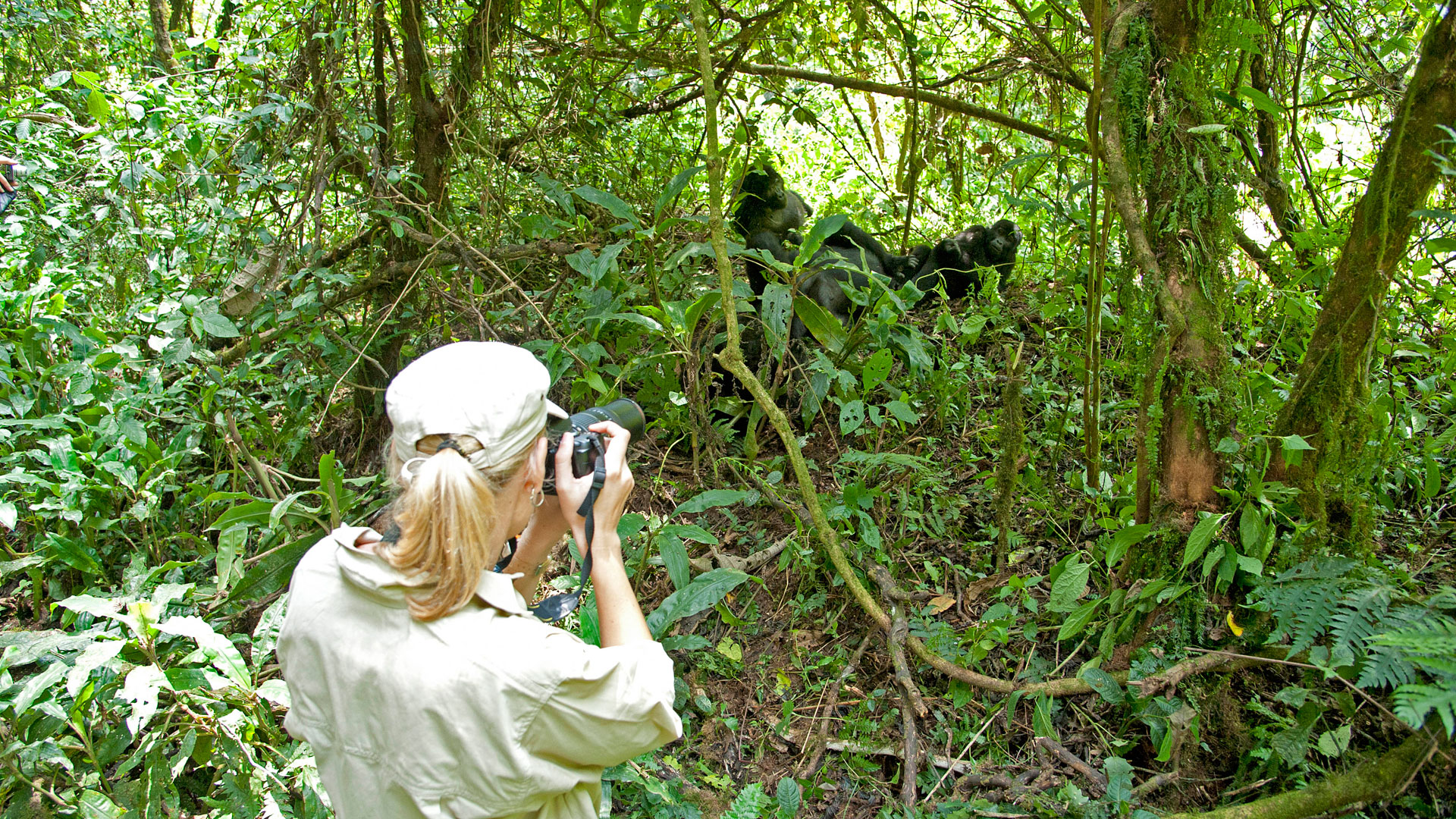 What To Do On A Uganda Safari Holiday 