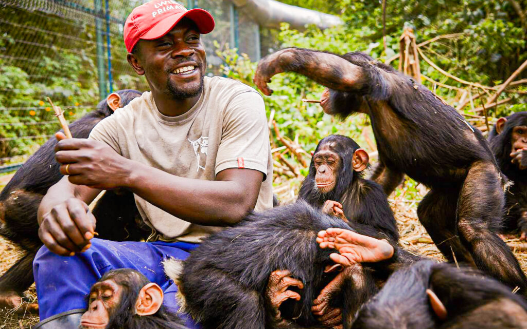 Lwiro Primate Rehabilitation Centre Tour