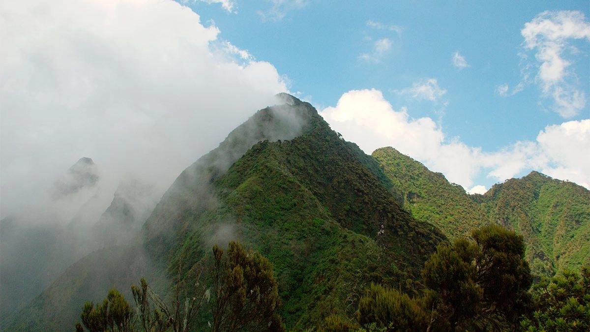 Mount Sabyinyo | Facts, Height (Mount Sabinyo, Fees & Peak Trek)